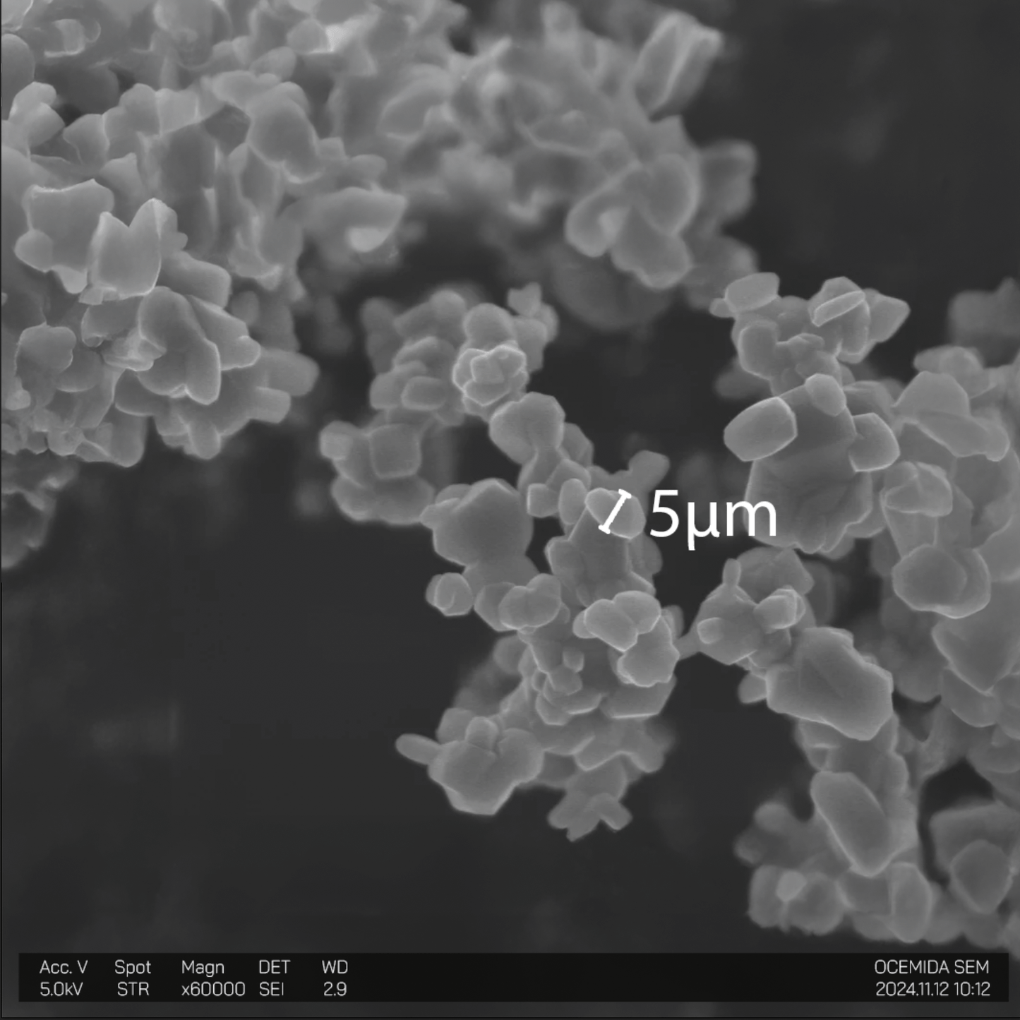 SEM image showing Titanium Dioxide (Rutile) Nanoparticles with 5μm scale, highlighting nano-scale particle structure for scientific use.