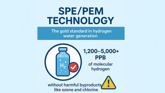 spe/pem technology
