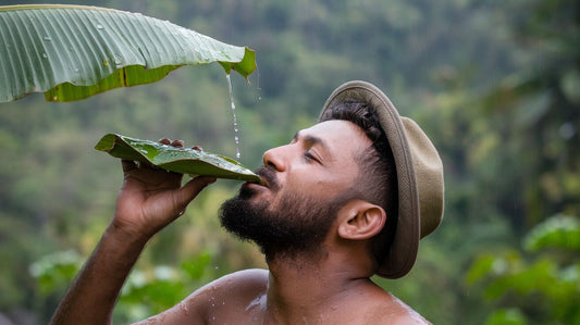 man drinking rainwater from a palm leaf