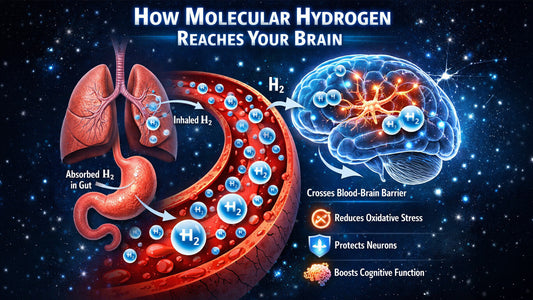 illustration of the gut and brain connection