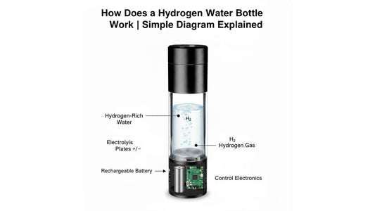 hydrogen water bottle mechanism of action digram