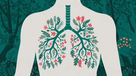 illustration of torso and lungs in a natural setting