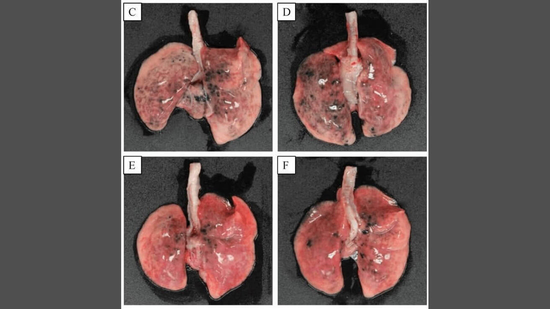 effects of hydrogen gas on the lungs